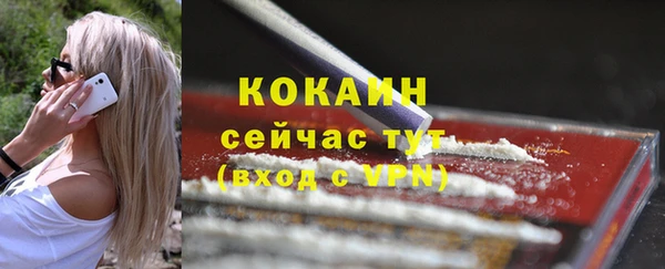 прущие грибы Абдулино