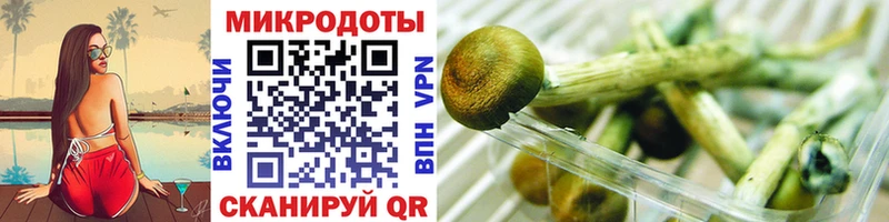 Псилоцибиновые грибы Cubensis  хочу наркоту  Татарск 